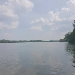 Danube Riverbank near Érd - Érd