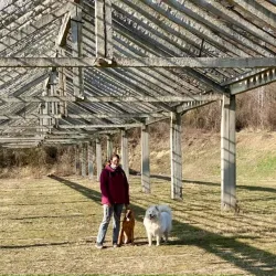 Danube Riverbank near Érd - Érd
