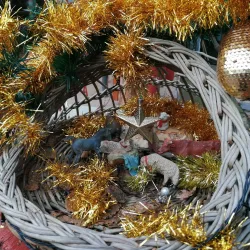 Érd Arboretum - Érd