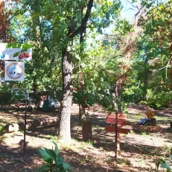 Érd Arboretum - Érd