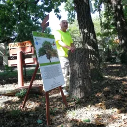 Érd Arboretum - Érd