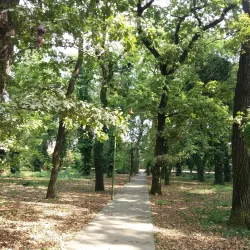 Érd Arboretum - Érd