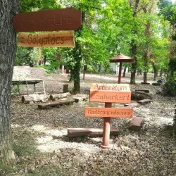 Érd Arboretum - Érd