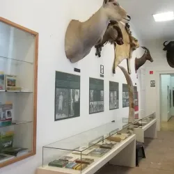 Érd City Museum - Érd