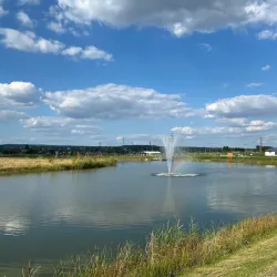 Érd City Park - Érd