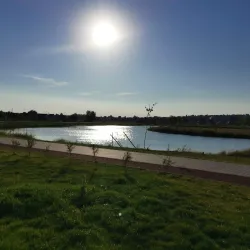 Érd City Park - Érd