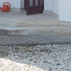 Érd Roman Catholic Church - Érd