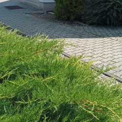 Érd Roman Catholic Church - Érd