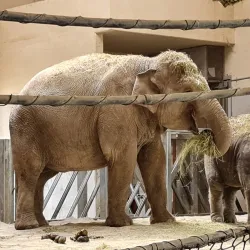 Budapest Zoo & Botanical Garden - Üröm