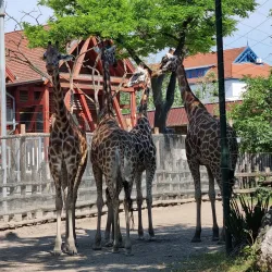 Budapest Zoo & Botanical Garden - Üröm
