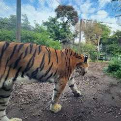 Budapest Zoo & Botanical Garden - Üröm