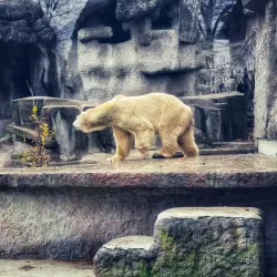 Budapest Zoo & Botanical Garden - Üröm