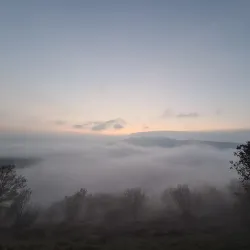 Danube Bend - Üröm