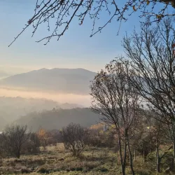 Danube Bend - Üröm