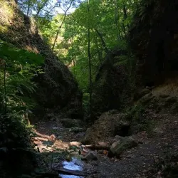 Pilis Mountains - Üröm