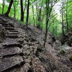 Pilis Mountains - Üröm