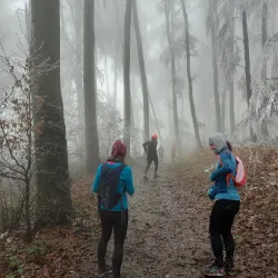 Pilis Mountains - Üröm