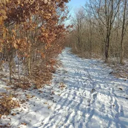 Pilis Mountains - Üröm