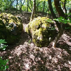 Üröm Hills - Üröm