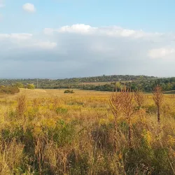 Üröm Hills - Üröm