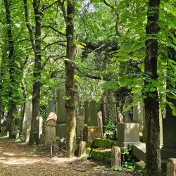 Salgótarján Synagogue - Salgótarján
