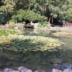 Jókai Park - Siofok