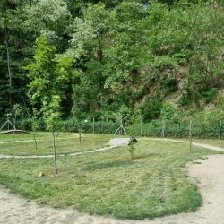 Lővérek Forest and Park - Sopron