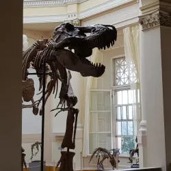 Móra Ferenc Museum - Szeged