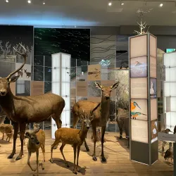 Móra Ferenc Museum - Szeged