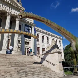Móra Ferenc Museum - Szeged