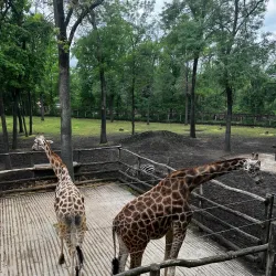 Szeged Zoo and Botanical Garden - Szeged