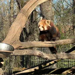 Szeged Zoo and Botanical Garden - Szeged