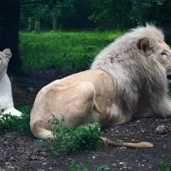 Szeged Zoo and Botanical Garden - Szeged