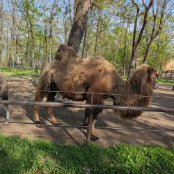 Szeged Zoo and Botanical Garden - Szeged