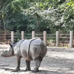 Szeged Zoo and Botanical Garden - Szeged