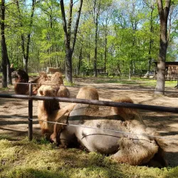 Szeged Zoo and Botanical Garden - Szeged