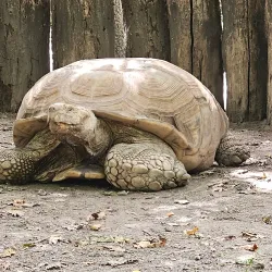 Szeged Zoo and Botanical Garden - Szeged