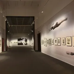 Csók István Képtár (István Csók Gallery) - Szekesfehervar