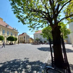 Szent István Square - Szekesfehervar