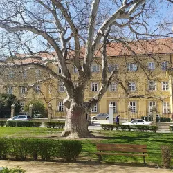 Szent István Square - Szekesfehervar