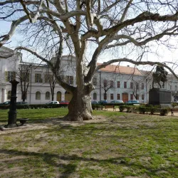 Szent István Square - Szekesfehervar
