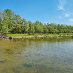 Danube-Drava National Park (near Szekszárd) - Szekszard
