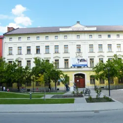 Damjanich János Museum - Szolnok