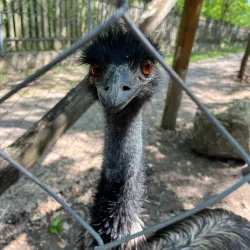Szolnok Zoo and Botanical Garden - Szolnok