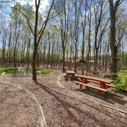 Szolnok Zoo and Botanical Garden - Szolnok