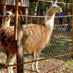 Szolnok Zoo and Botanical Garden - Szolnok