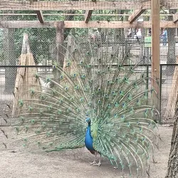Szolnok Zoo and Botanical Garden - Szolnok