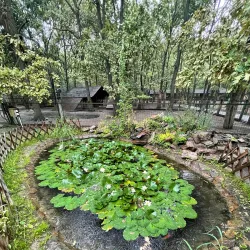 Szolnok Zoo and Botanical Garden - Szolnok