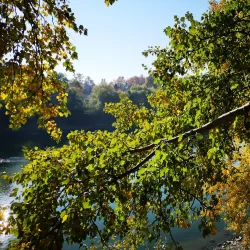 Tiszaliget Park - Szolnok