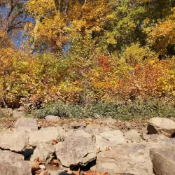 Tiszaliget Park - Szolnok